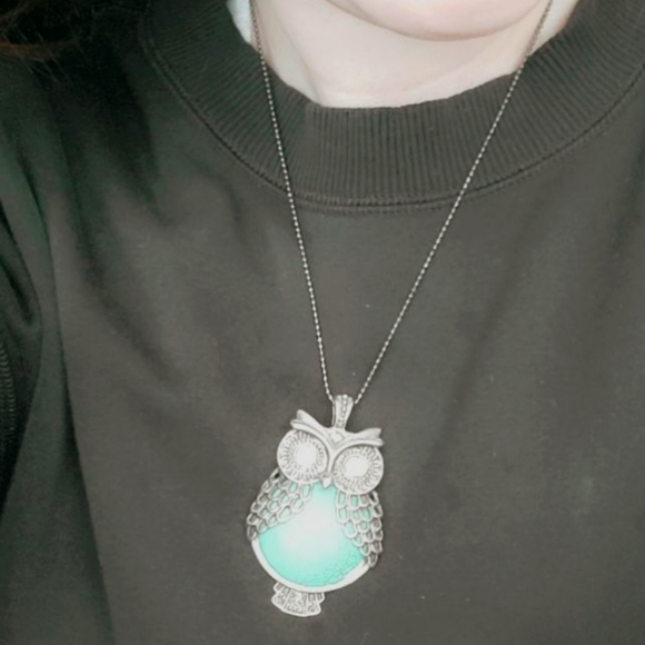 Silver owl necklace with turquoise body - Picture 3 of 3